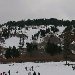 Meet your Posher, Bertha